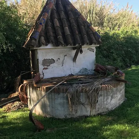 Finca Los Ocho Benajarafe